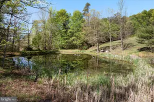 775 Pack Horse Rd, Winchester, VA 22603 - Photo 19