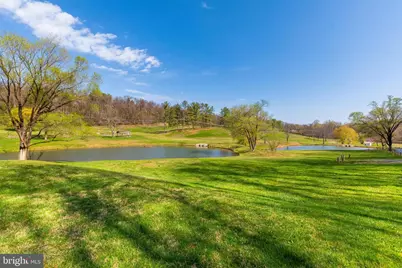 224 Hawk, Winchester, VA 22602 - Photo 27