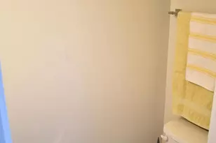 118 Twinleaf Way, Lake Frederick, VA 22630 - Photo 19