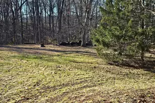 274 Woodside Ln, Winchester, VA 22603 - Photo 75