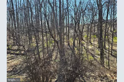 274 Woodside Lane, Winchester, VA 22603 - Photo 85