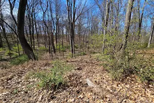 274 Woodside Ln, Winchester, VA 22603 - Photo 87