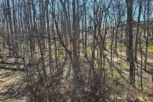 274 Woodside Ln, Winchester, VA 22603 - Photo 85