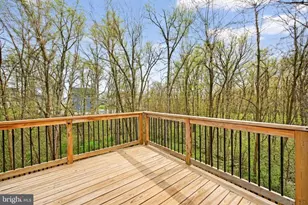 115 Gretchen Ct, Stephenson, VA 22656 - Photo 39