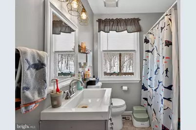 1238 Logger Drive, Gore, VA 22637 - Photo 13