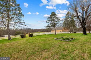 456 Marple Rd, Winchester, VA 22603 - Photo 59