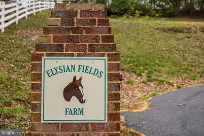 456 Marple Road, Winchester, VA 22603 - Photo 5