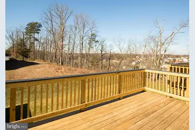 127 Keller Court, Winchester, VA 22602 - Photo 49