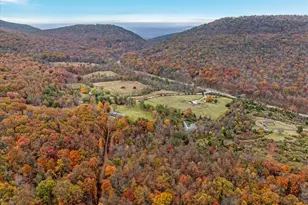 291 Capon Springs Grade, Star Tannery, VA 22654 - Photo 19