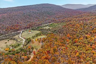291 Capon Springs Grade, Star Tannery, VA 22654 - Photo 21