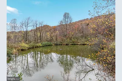 291 Capon Springs Grade, Star Tannery, VA 22654 - Photo 27