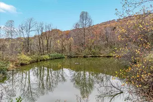 291 Capon Springs Grade, Star Tannery, VA 22654 - Photo 27