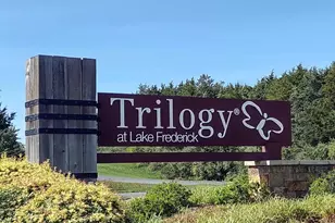 213 Grebe Dr, Lake Frederick, VA 22630 - Photo 33