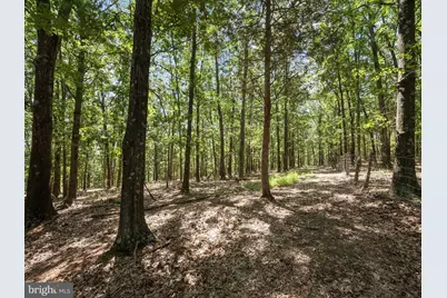 000 Light Road, Winchester, VA 22603 - Photo 3