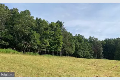 000 Light Road, Winchester, VA 22603 - Photo 31