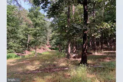 000 Light Road, Winchester, VA 22603 - Photo 15