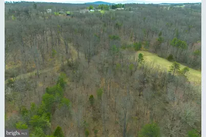 Wardensville Grade, Winchester, VA 22602 - Photo 5