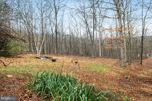 297 Deer Run Rd, Gore, VA 22637 - Photo 21