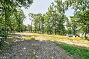 121 Sweetbriar Ln, Winchester, VA 22603 - Photo 23