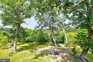 121 Sweetbriar Ln, Winchester, VA 22603 - Photo 59