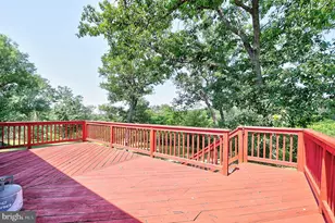 121 Sweetbriar Ln, Winchester, VA 22603 - Photo 55