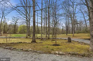 256 Brookneil Dr, Winchester, VA 22602 - Photo 65