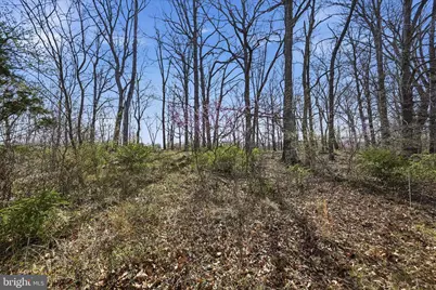 950 Stony Hill Road, Winchester, VA 22603 - Photo 19