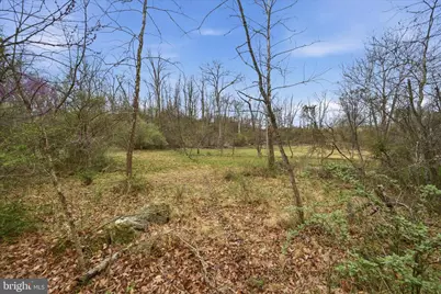 950 Stony Hill Road, Winchester, VA 22603 - Photo 17