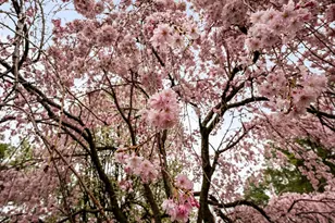 118 Carroll Dr, Stephens City, VA 22655 - Photo 35