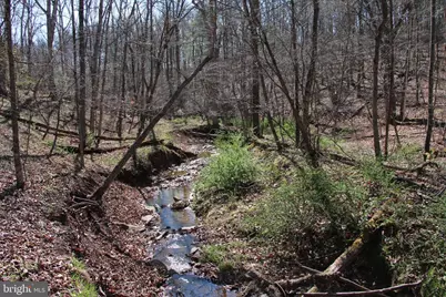 Brush Creek Road, Winchester, VA 22603 - Photo 23