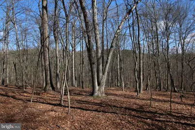 Brush Creek Road, Winchester, VA 22603 - Photo 27