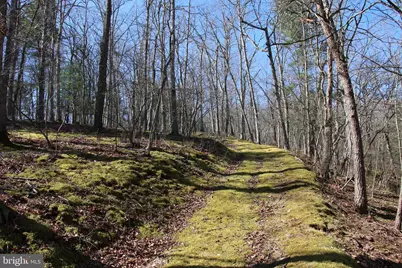 Brush Creek Road, Winchester, VA 22603 - Photo 19