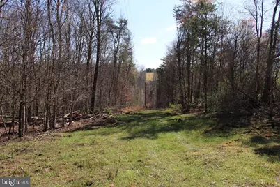 Brush Creek Road, Winchester, VA 22603 - Photo 35