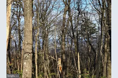 Lot 162 Bobcat Trl, Winchester, VA 22602 - Photo 1