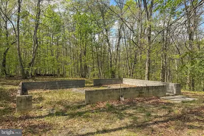 221 Settlers Lane, Stephenson, VA 22656 - Photo 47