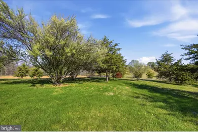 1239 Cedar Grove Road, Winchester, VA 22603 - Photo 73