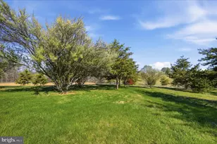 1239 Cedar Grove Rd, Winchester, VA 22603 - Photo 73