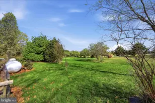1239 Cedar Grove Rd, Winchester, VA 22603 - Photo 67