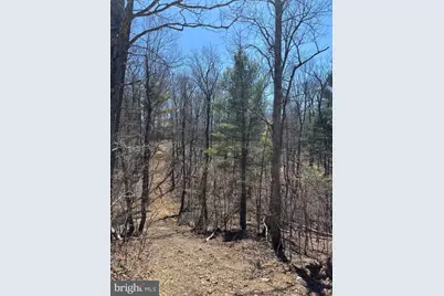 Lot 8A & 8B Reynolds Rd, Cross Junction, VA 22625 - Photo 3