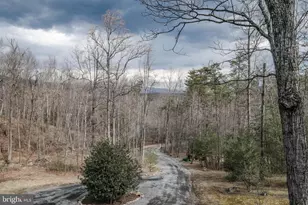 642 Paddys Run Rd, Star Tannery, VA 22654 - Photo 5