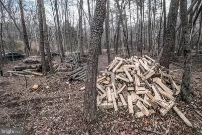 642 Paddys Run Road, Star Tannery, VA 22654 - Photo 21