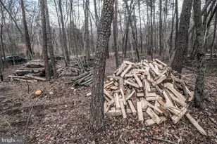 642 Paddys Run Rd, Star Tannery, VA 22654 - Photo 21