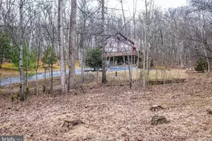 642 Paddys Run Rd, Star Tannery, VA 22654 - Photo 19