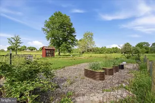 4737 Valley Pike, Stephens City, VA 22655 - Photo 73