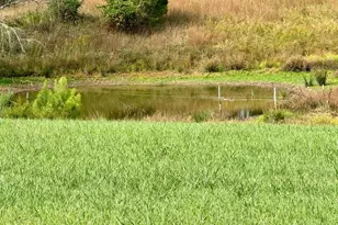 220 Snappy Ln, Winchester, VA 22602 - Photo 43