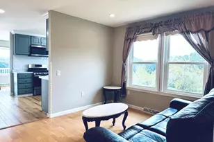 220 Snappy Ln, Winchester, VA 22602 - Photo 31