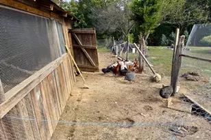 220 Snappy Ln, Winchester, VA 22602 - Photo 45