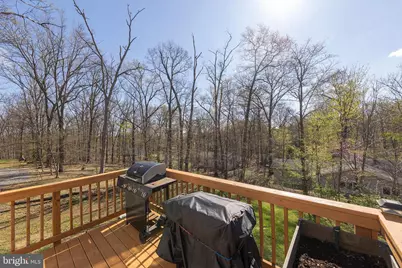 225 Doe Trail, Winchester, VA 22602 - Photo 35