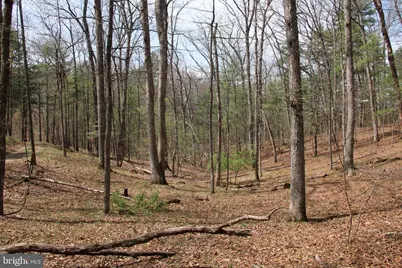Hodges Lot 12 Lane, Winchester, VA 22603 - Photo 1