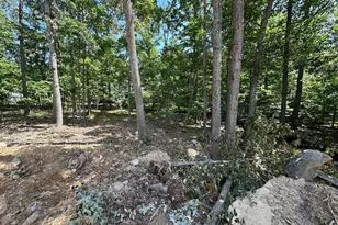 103 Tonto Trail, Winchester, VA 22602 - Photo 5